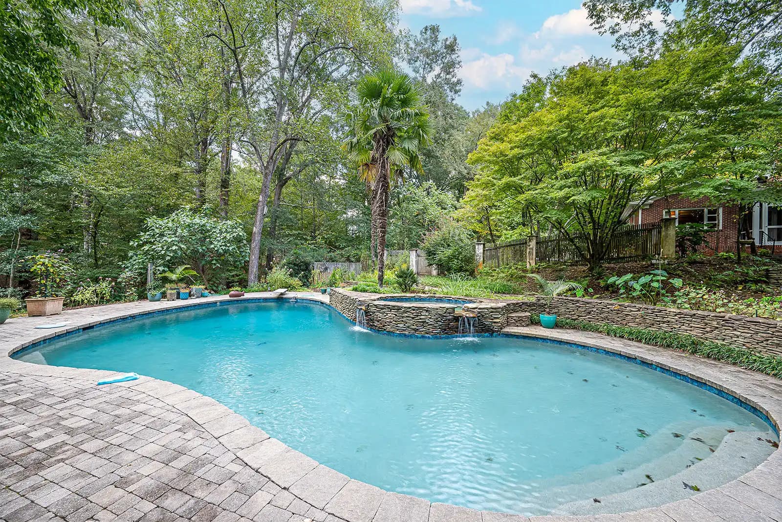 saltwater pool with palm tree